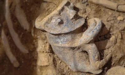 Descubrimientos Arqueológicos en Bogotá Detienen Importante Proyecto de Infraestructura