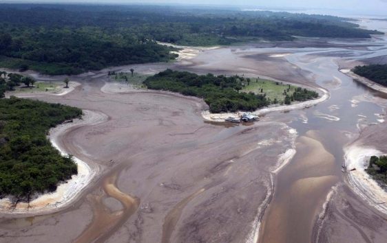 La Amazonía se enfrenta a un punto de no retorno en 2050, advierte estudio